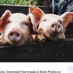 Meet your Posher, Franchelle